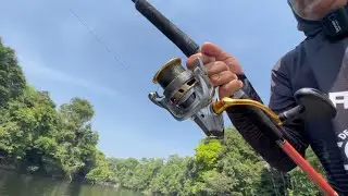 O PEIXE FEZ O MOLINETE CANTAR BONITO, QUE PESCARIA