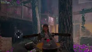 Far Cry New Dawn Gameplay Xbox One Fat