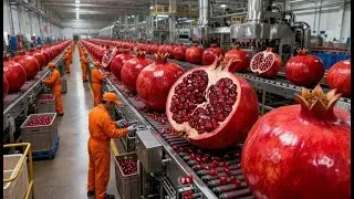 Inside a Modern Pomegranate Factory : From Farm to Delicious Healthy Drink (Full Process)