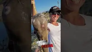 #BendoskiPowerFishing #BPF #joshbendoski #Bendoski #bpfproteam #catfish #catfishing #catfishandtheb