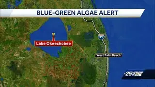 Blue-green algae alert