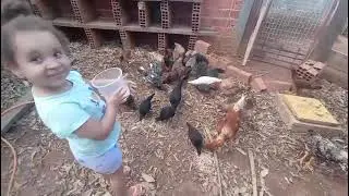Alana Walker e as Mini galinhas se escreve no canal 