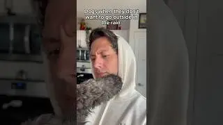 Dogs don&rsquo;t ever want to go outside in the rain 🤣 #dogdad #dogowners #dogowner #dogcomedy #funnydog