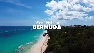 Week Eight in Bermuda: New Drone, Beach Club Vibes & Dinner with the Girls!