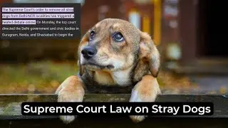 Let's Raise the Voice against Supreme Court Law | #support #viral #raiseawareness #awareness 
