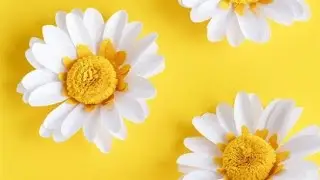 How to make beautiful 😍 paper flowers/Diy paper crafts/samha art and craft 💫