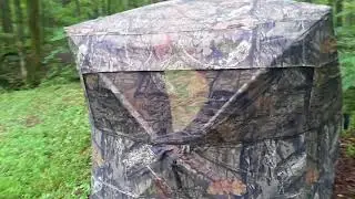 Rhino blinds  ( Rhino 200 ) review