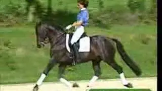 Horses - Nightwish
