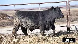 RCS 25