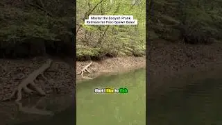 The Best Post Spawn Topwater Bait