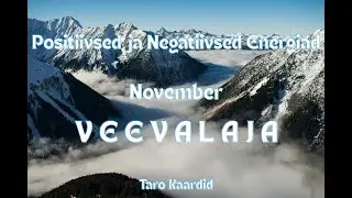 Taro Energiad November VEEVALAJA