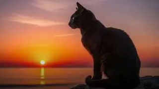 Sunlight Project -   Part of Me