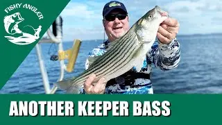 In search for big stripers in upper Chesapeake Bay