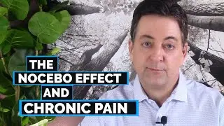The Nocebo Effect and Chronic Back Pain Cure - Dr. John Sarno MD