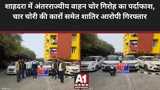 Inter-state vehicle theft gang busted in Shahdara, four stolen cars and vicious accused arrested