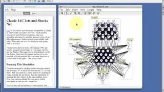 Interactive Activation and Competition Network