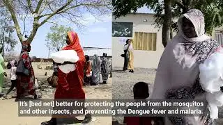 Bed net campaign &ndash; voices from the field
