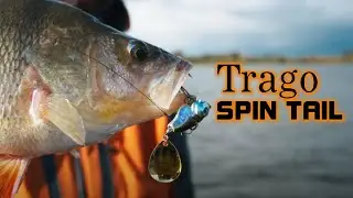 NEW Trago Spin Tail!