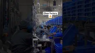Ghee factory 🔥 #ytshorts #minivlogs