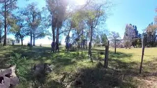 mangrullo 03