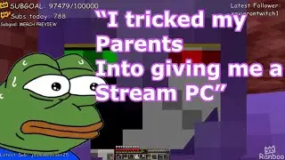 Ranboo's Origin Story on how he became Famous... *Storytime on the Dream SMP*