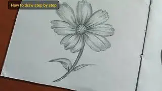Drawing and pencil shading of flowers, free hand drawing for beginners, @howtodrawstepbystep