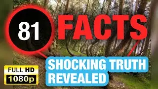 81 Fun Facts That Will Teach You Something Amazing!