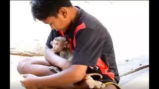 Pity Axel Baby monkey feel comfortable and happier while many boys love him