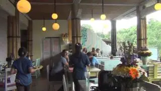 Restaurants & Cafes - Clear Cafe
