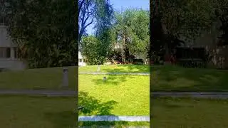 TIFR NCRA #physicsmotivation #physics #tifrphysics #cinematic