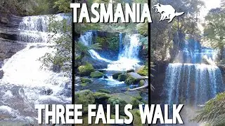 Must Visit Locations in TASMANIA - MOUNT FIELD WATERFALLS