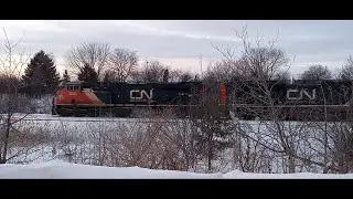 (Thursday Catches) Railfanning At Snider/Milepost 23 On The CN York Subdivision In Vaughan Ontario