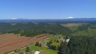 Perfect Hobby Farm on Five Acres in Beavercreek ~ Oregon country properties