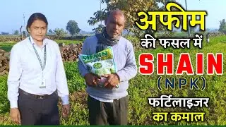 Organic Fertilizer for Opium/Garlic Crop for Higher Growth
