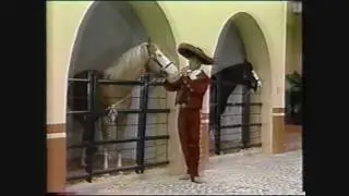 Alejandro Fernandez en sus inicios 