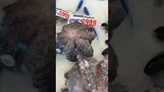 Best fresh seafood market and fish and Chips in Qld Gold Coast