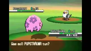 Krasses Lets Play Pokemon Weisse Edition (Blind) [German] #015 Septerna City erreicht