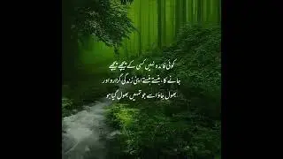 Best Urdu Quotes | Urdu Islamic Quotes | Best Quotes About Life | Motivational Quotes