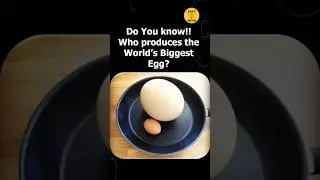 Bird with Biggest Egg | Interesting Facts 80