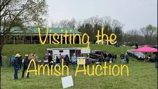 Ep. 121: Finding Deals at the Amish Auction