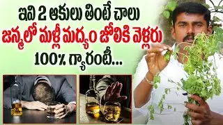 మద్యం మానేయాలంటే ఇలా చేయండి చాలు || How to stop drinking alcohol in Telugu || quit alcohol