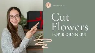 Best Cut Flowers to Grow for Beginners | My Favorite Easy to Annual Cut Flowers