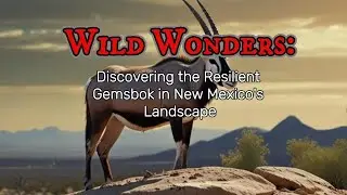 Discovering the Resilient Gemsbok in New Mexico's Landscape