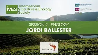 How to make a mineral wine? Producers&rsquo; representations vs. scientific data