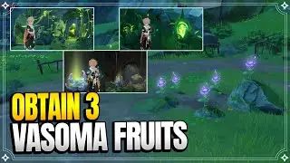 Obtain 3 Vasoma Fruits - Aranyaka Part 2 | World Quests |【Genshin Impact】