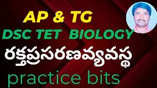AP & TG BIOLOGY PRACTICE BITS BLOOD CIRCULATION SYSTEM