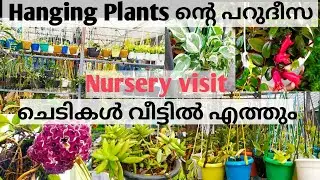 Plant Nursery visit |ചെടികൾ വീട്ടിൽ എത്തിച്ചു തരും|All types of Hanging Plants |#Minzworld|