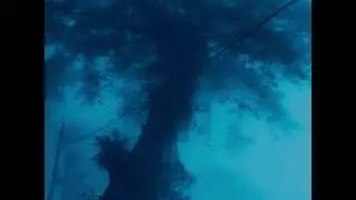losing