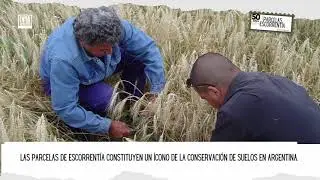 C&oacute;mo y para qu&eacute; surge el trabajo de parcelas de escorrent&iacute;a?