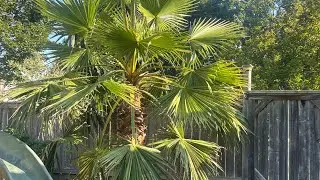 Full yard update